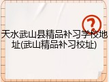 天水武山县精品补习学校地址(武山精品补习校址)