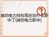 潍坊电力技校现在叫什么职中了(潍坊电力职中)