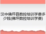 汉中佛坪县数控培训学费多少钱(佛坪数控培训学费)