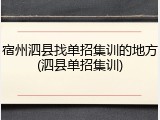 宿州泗县找单招集训的地方(泗县单招集训)