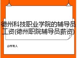 德州科技职业学院的辅导员工资(德州职院辅导员薪资)