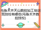 乌鲁木齐天山数控加工培训班技校有哪些(乌鲁木齐数控技校)