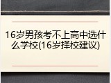 16岁男孩考不上高中选什么学校(16岁择校建议)