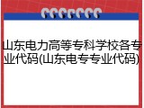 山东电力高等专科学校各专业代码(山东电专专业代码)