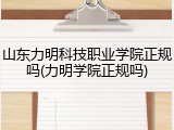 山东力明科技职业学院正规吗(力明学院正规吗)