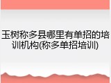 玉树称多县哪里有单招的培训机构(称多单招培训)