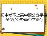 初中考不上高中读公办学费多少("公办高中学费")