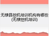 无棣县挖机培训机构有哪些(无棣挖机培训)