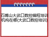 石嘴山大武口数控编程培训机构在哪(大武口数控培训)