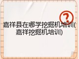 嘉祥县在哪学挖掘机培训(嘉祥挖掘机培训)