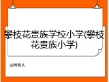 攀枝花贵族学校小学(攀枝花贵族小学)