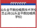汕头金平数控模具技术学校怎么样(汕头金平数控模具学校)