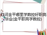 红河金平哪里学数控好职高毕业(金平职高学数控)