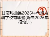 甘南玛曲县2026年单招培训学校有哪些(玛曲2026单招培训)