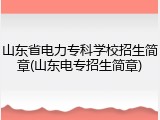 山东省电力专科学校招生简章(山东电专招生简章)