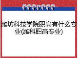 潍坊科技学院职高有什么专业(潍科职高专业)
