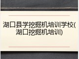 湖口县学挖掘机培训学校(湖口挖掘机培训)