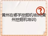 黄州在哪学挖掘机培训(黄州挖掘机培训)