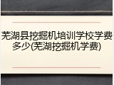 芜湖县挖掘机培训学校学费多少(芜湖挖掘机学费)