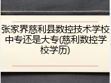 张家界慈利县数控技术学校中专还是大专(慈利数控学校学历)