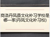 商洛丹凤县文化补习学校是哪一家(丹凤文化补习校)
