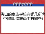 佛山的贵族学校有哪几所高中(佛山贵族高中有哪些)