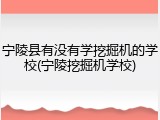 宁陵县有没有学挖掘机的学校(宁陵挖掘机学校)