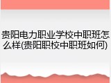 贵阳电力职业学校中职班怎么样(贵阳职校中职班如何)