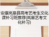 安康岚皋县高考艺考生文化课补习班推荐(岚皋艺考文化补习)