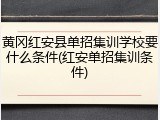 黄冈红安县单招集训学校要什么条件(红安单招集训条件)