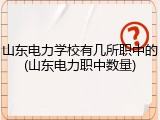 山东电力学校有几所职中的(山东电力职中数量)