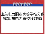 山东电力职业高等学校分数线(山东电力职校分数线)
