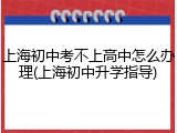上海初中考不上高中怎么办理(上海初中升学指导)