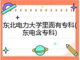 东北电力大学里面有专科(东电含专科)