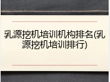 乳源挖机培训机构排名(乳源挖机培训排行)