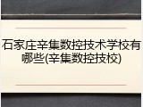 石家庄辛集数控技术学校有哪些(辛集数控技校)