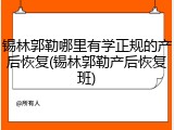 锡林郭勒哪里有学正规的产后恢复(锡林郭勒产后恢复班)