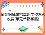 莱芜钢城单招集训学校怎么收费(莱芜单招学费)