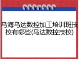 乌海乌达数控加工培训班技校有哪些(乌达数控技校)