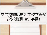 文昌挖掘机培训学校学费多少(挖掘机培训学费)
