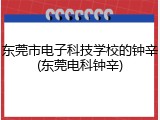 东莞市电子科技学校的钟辛(东莞电科钟辛)