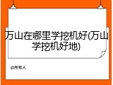 万山在哪里学挖机好(万山学挖机好地)