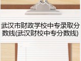 武汉市财政学校中专录取分数线(武汉财校中专分数线)