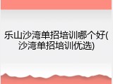 乐山沙湾单招培训哪个好(沙湾单招培训优选)