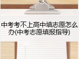 中考考不上高中填志愿怎么办(中考志愿填报指导)