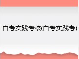 自考实践考核(自考实践考)