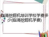 临清挖掘机培训学校学费多少(临清挖掘机学费)