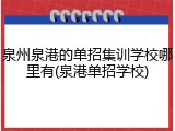 泉州泉港的单招集训学校哪里有(泉港单招学校)