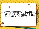 来宾兴宾编程培训学费一般多少钱(兴宾编程学费)