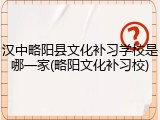 汉中略阳县文化补习学校是哪一家(略阳文化补习校)